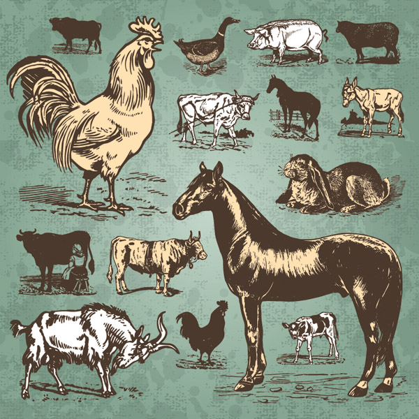 free vector Poultry animals vector standard